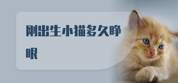 刚出生小猫多久睁眼