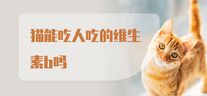 猫能吃人吃的维生素b吗