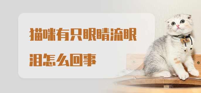 猫咪有只眼睛流眼泪怎么回事