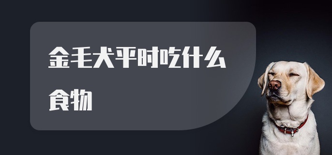 金毛犬平时吃什么食物