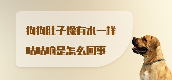 狗狗肚子像有水一样咕咕响是怎么回事