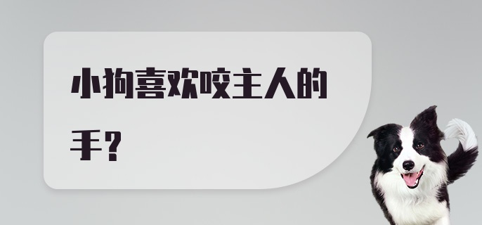 小狗喜欢咬主人的手?