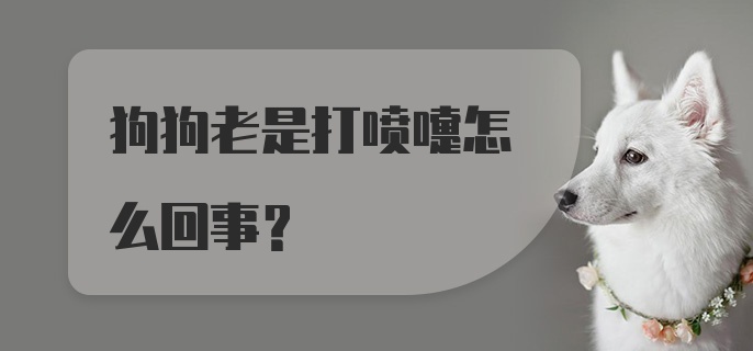 狗狗老是打喷嚏怎么回事？