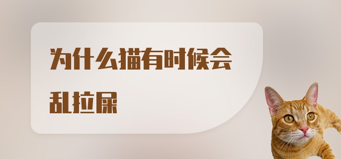 为什么猫有时候会乱拉屎