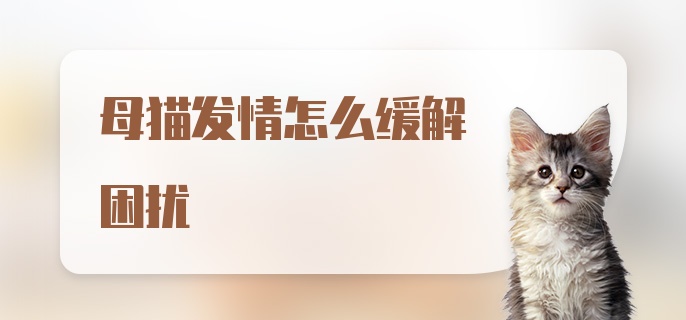 母猫发情怎么缓解困扰