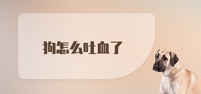 狗怎么吐血了