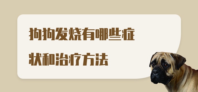 狗狗发烧有哪些症状和治疗方法