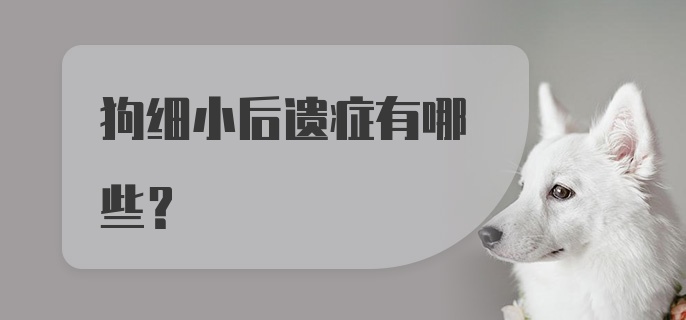 狗细小后遗症有哪些？