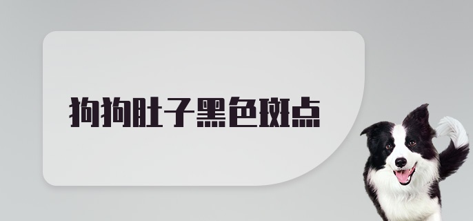 狗狗肚子黑色斑点