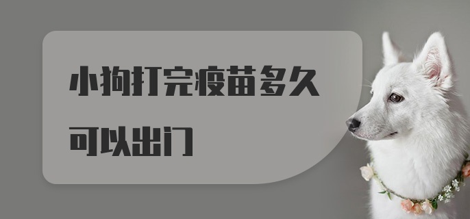 小狗打完疫苗多久可以出门