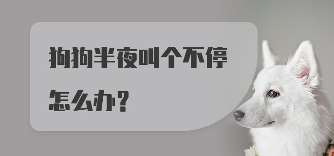 狗狗半夜叫个不停怎么办?