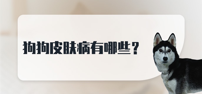 狗狗皮肤病有哪些？