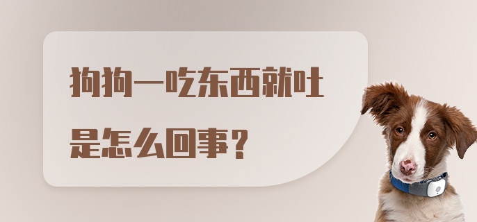 狗狗一吃东西就吐是怎么回事?