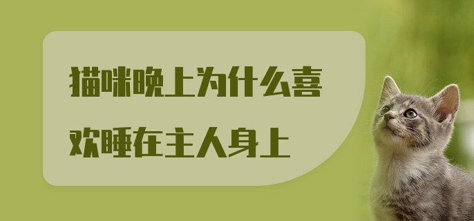 猫咪晚上为什么喜欢睡在主人身上