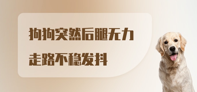 狗狗突然后腿无力走路不稳发抖