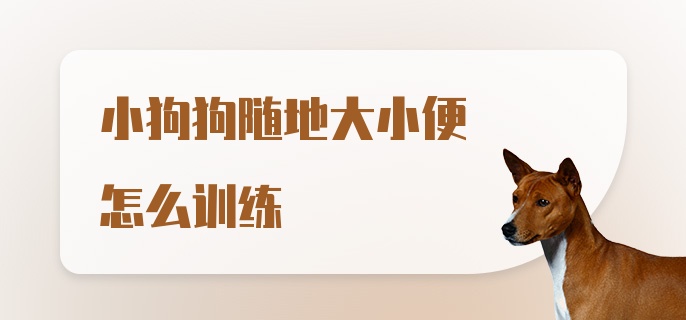 小狗狗随地大小便怎么训练