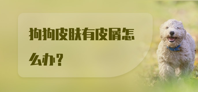 狗狗皮肤有皮屑怎么办?