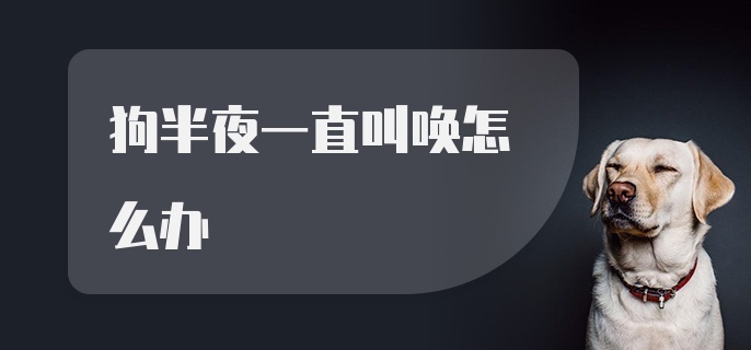 狗半夜一直叫唤怎么办