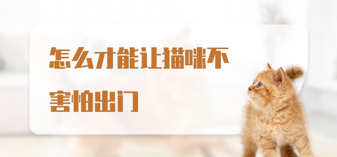 怎么才能让猫咪不害怕出门