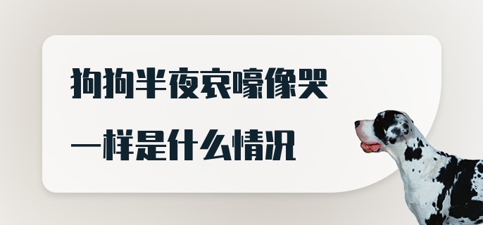 狗狗半夜哀嚎像哭一样是什么情况