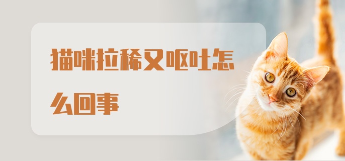 猫咪拉稀又呕吐怎么回事