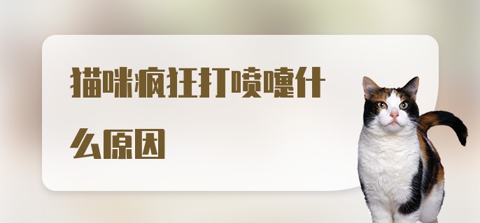 猫咪疯狂打喷嚏什么原因