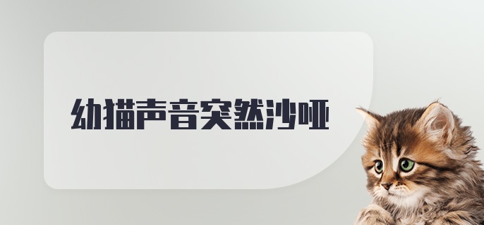 幼猫声音突然沙哑