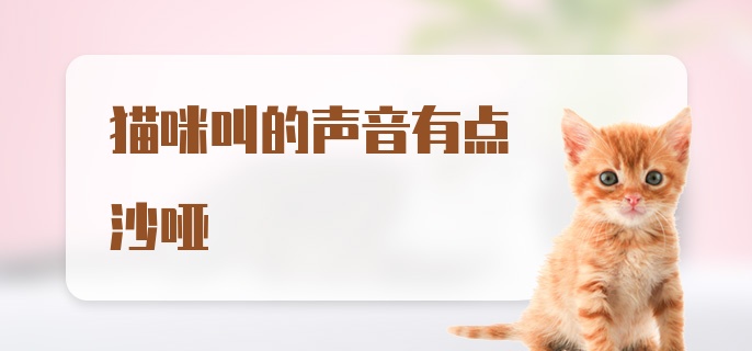 猫咪叫的声音有点沙哑