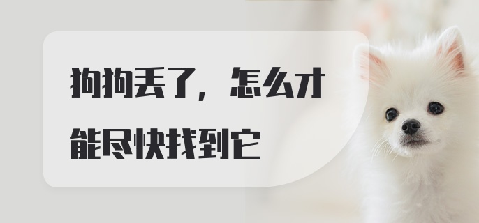 狗狗丢了,怎么才能尽快找到它