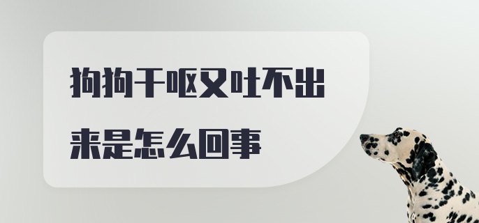 狗狗干呕又吐不出来是怎么回事