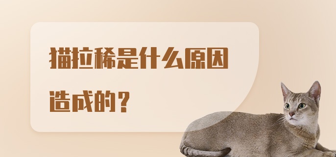 猫拉稀是什么原因造成的？