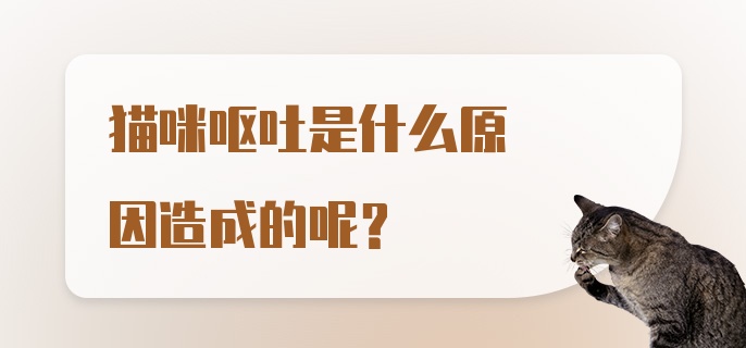 猫咪呕吐是什么原因造成的呢？