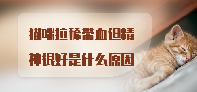 猫咪拉稀带血但精神很好是什么原因