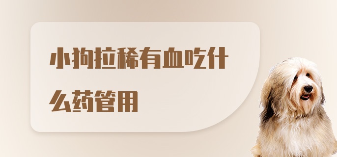 小狗拉稀有血吃什么药管用