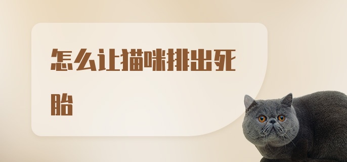 怎么让猫咪排出死胎