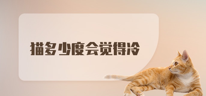 猫多少度会觉得冷