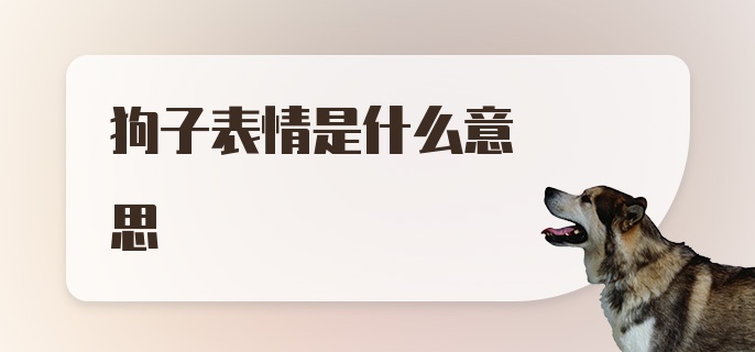 狗子表情是什么意思