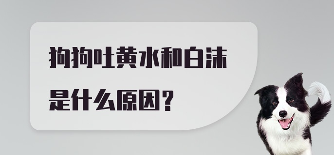 狗狗吐黄水和白沫是什么原因？