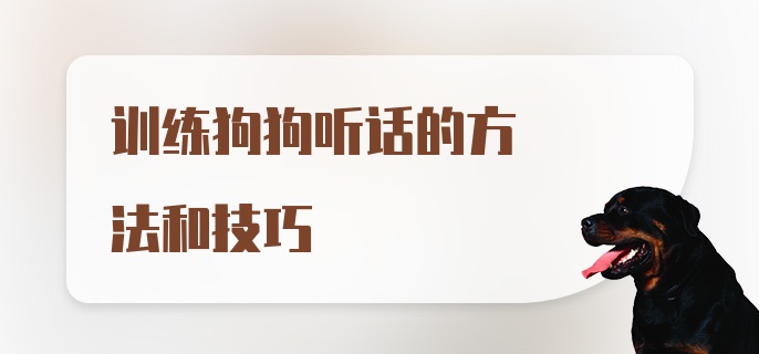 训练狗狗听话的方法和技巧