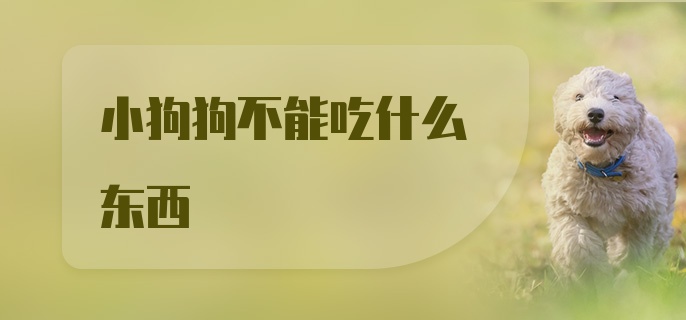 小狗狗不能吃什么东西