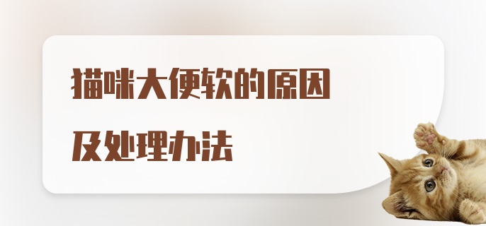 猫咪大便软的原因及处理办法