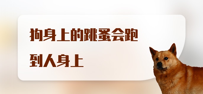 狗身上的跳蚤会跑到人身上