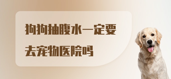 狗狗抽腹水一定要去宠物医院吗