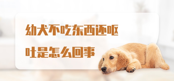 幼犬不吃东西还呕吐是怎么回事