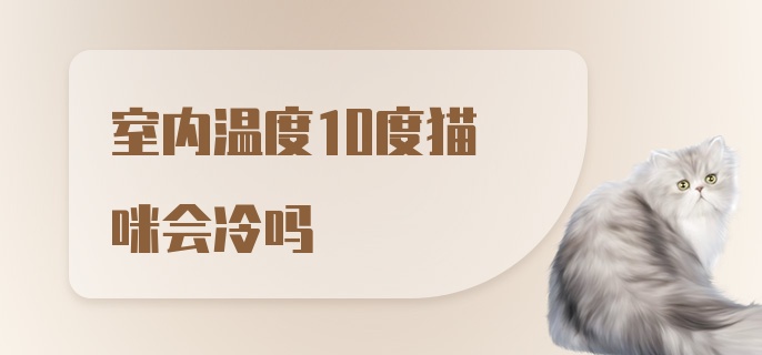 室内温度10度猫咪会冷吗