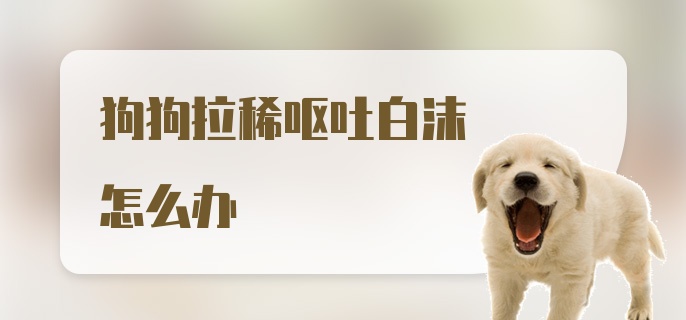 狗狗拉稀呕吐白沫怎么办