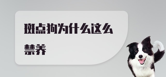 斑点狗为什么这么禁养