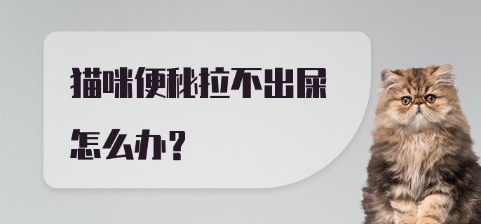 猫咪便秘拉不出屎怎么办？