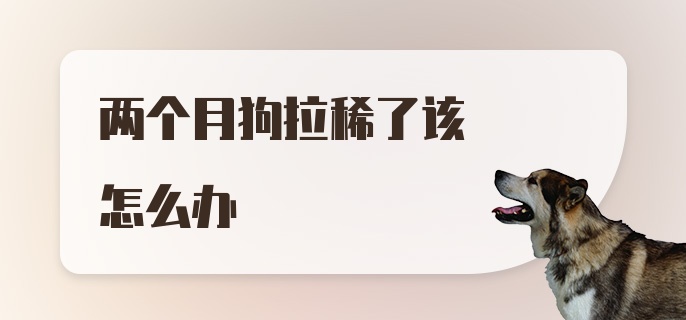 两个月狗拉稀了该怎么办