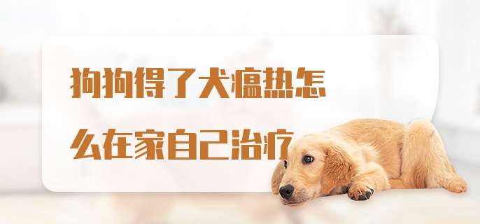 狗狗得了犬瘟热怎么在家自己治疗